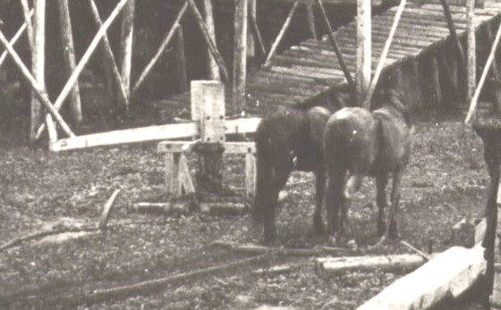 Human muscle, block and tackles and a horse whim were the labour saving devices available. 